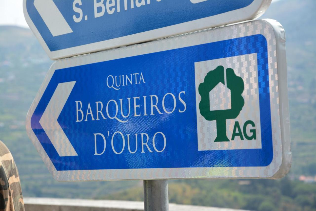 Quinta Barqueiros D'Ouro - Casa Da Musica Vila Mesão Frio Exterior foto